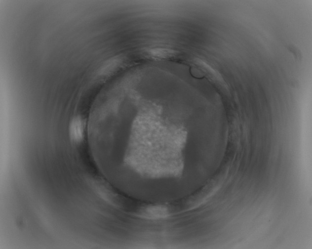 X0000114110075200910191711