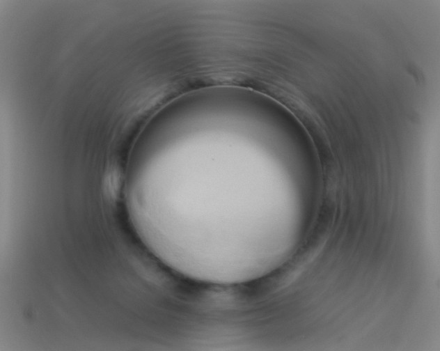 X0000114110076200910191711