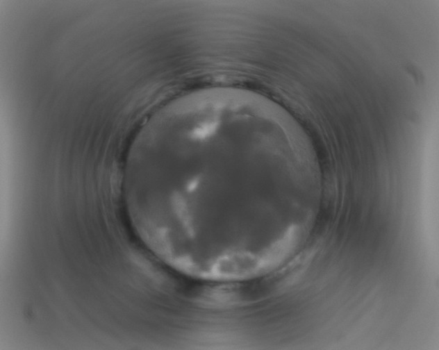 X0000114110078200910191711