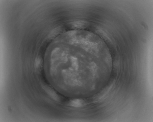 X0000114110079200910191711