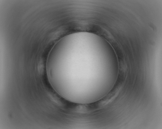 X0000114110080200910191711