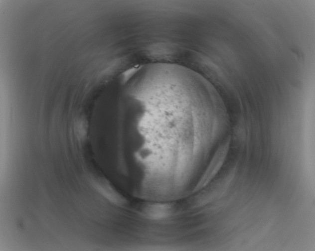 X0000114110081200910191711