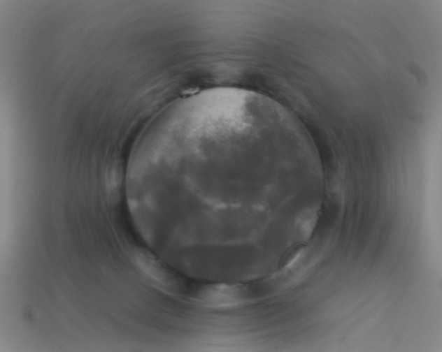 X0000114110082200910191711