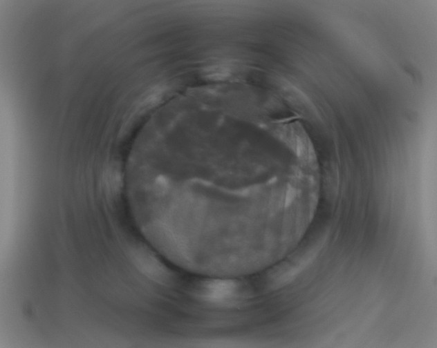 X0000114110085200910191711