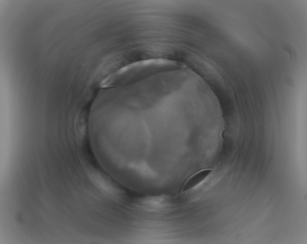 X0000114110086200910191711