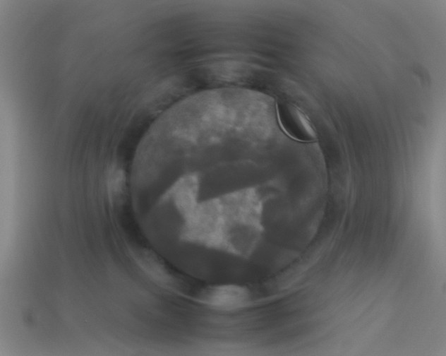 X0000114110087200910191711