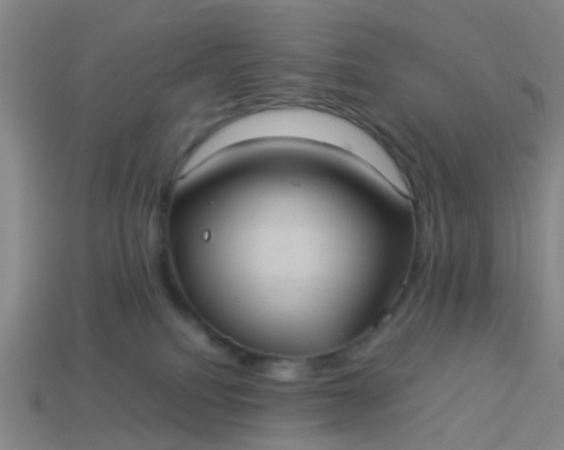 X0000114110088200910191711