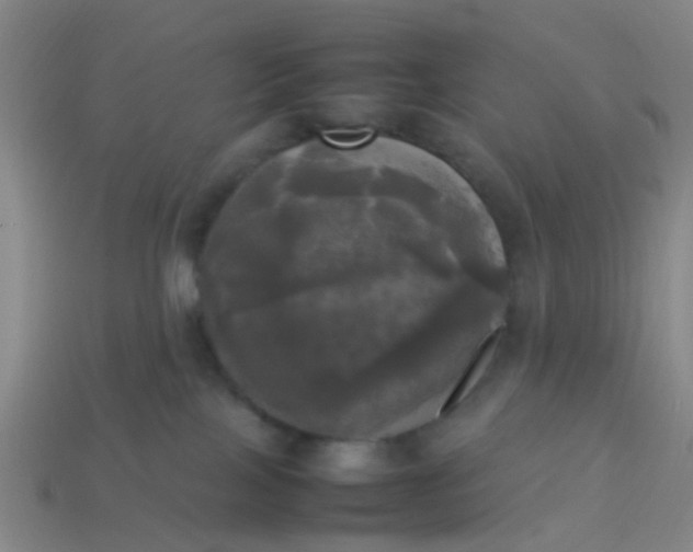 X0000114110089200910191711