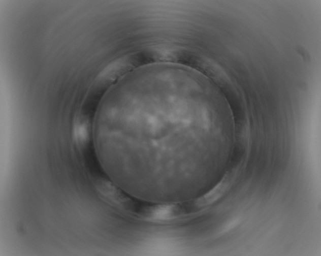 X0000114110090200910191711