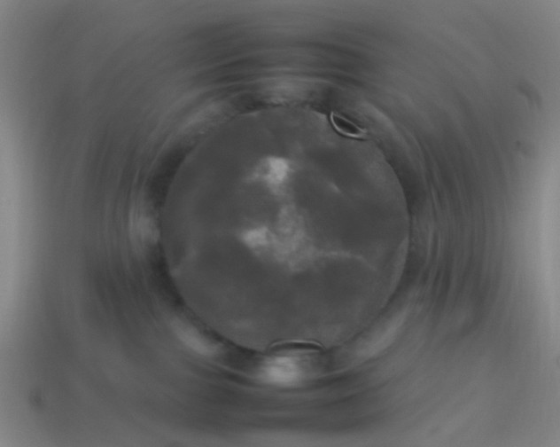 X0000114110091200910191711