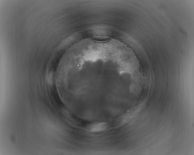 X0000114110093200910191711