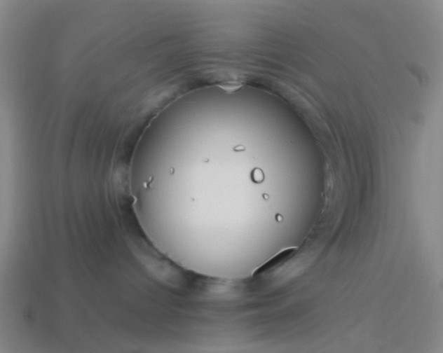 X0000114110096200910191711