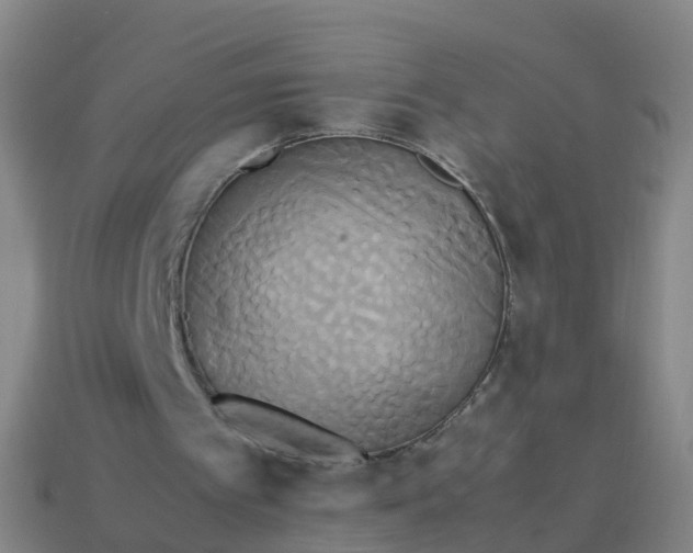 X0000114110097200910191711