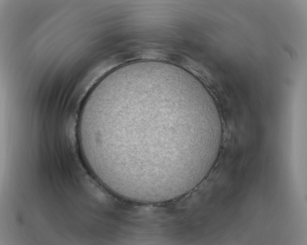 X0000114110098200910191711