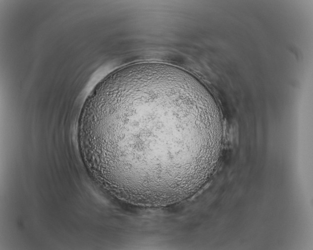 X0000114110099200910191711