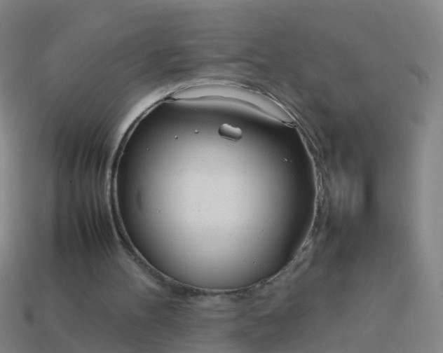 X0000114110100200910191711