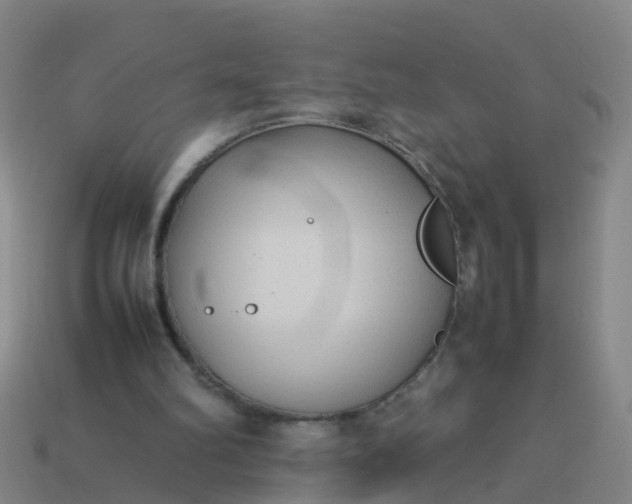 X0000114110102200910191711