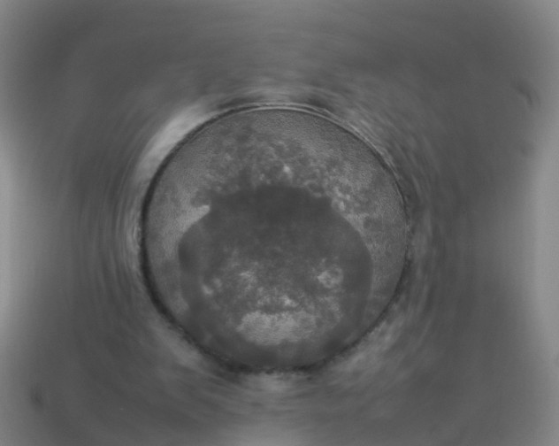 X0000114110103200910191711