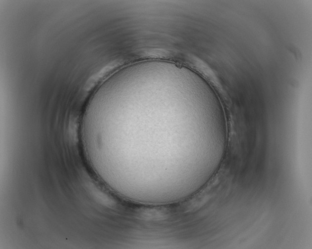 X0000114110106200910191711