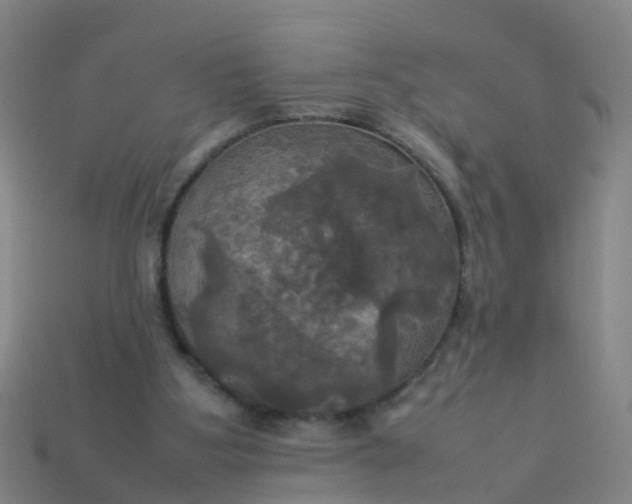 X0000114110107200910191711