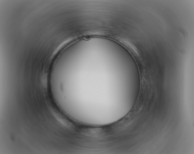 X0000114110108200910191710