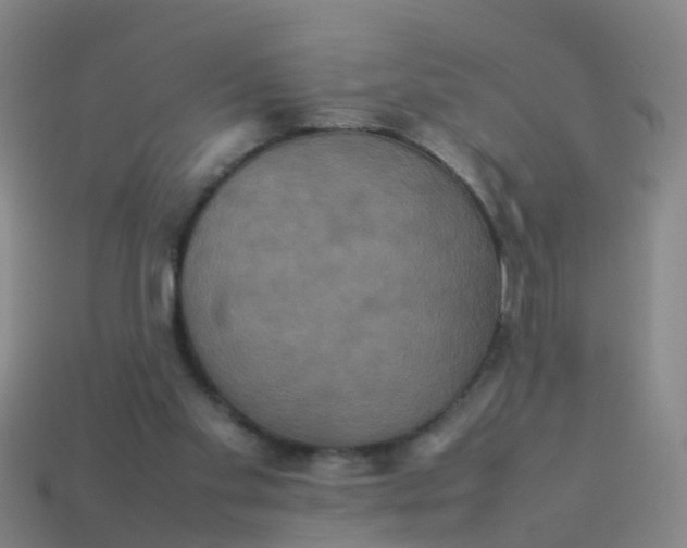 X0000114110109200910191710