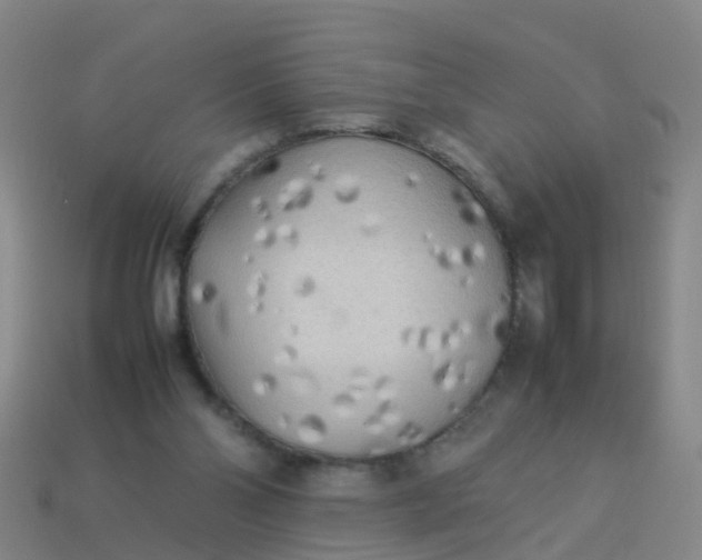 X0000114110110200910191710