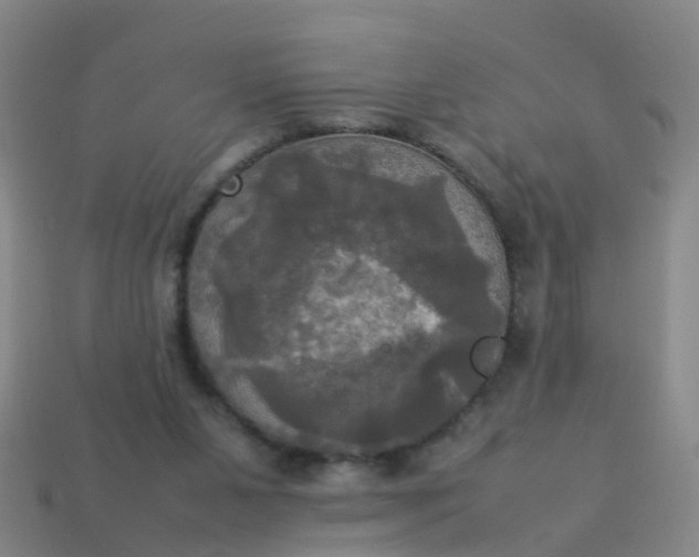 X0000114110111200910191710