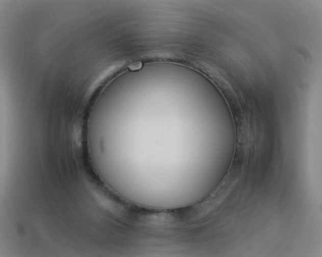 X0000114110112200910191710