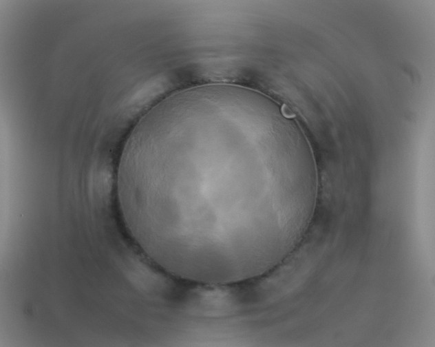 X0000114110113200910191710