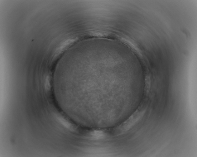 X0000114110114200910191710