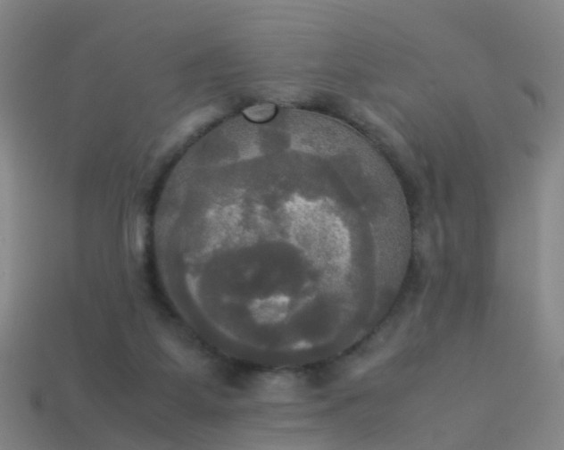 X0000114110115200910191710