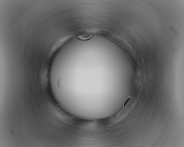 X0000114110116200910191710