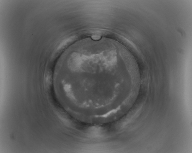 X0000114110119200910191710