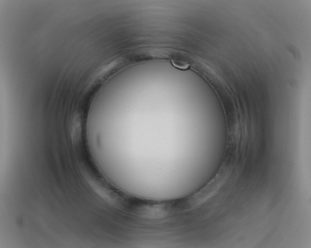 X0000114110120200910191710