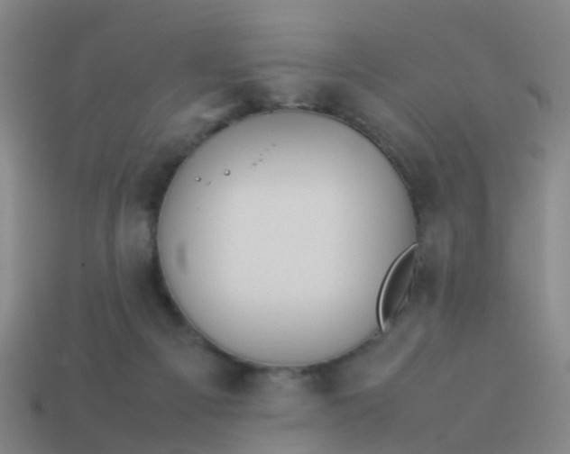 X0000114110121200910191710