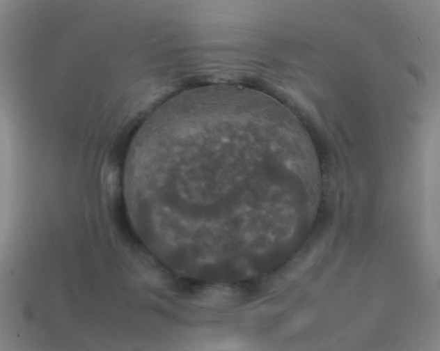 X0000114110123200910191710