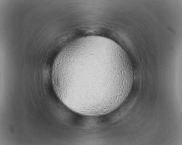 X0000114110127200910191710