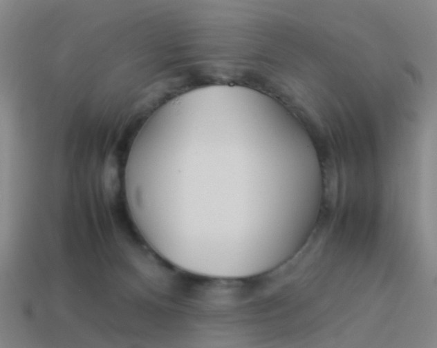 X0000114110128200910191710