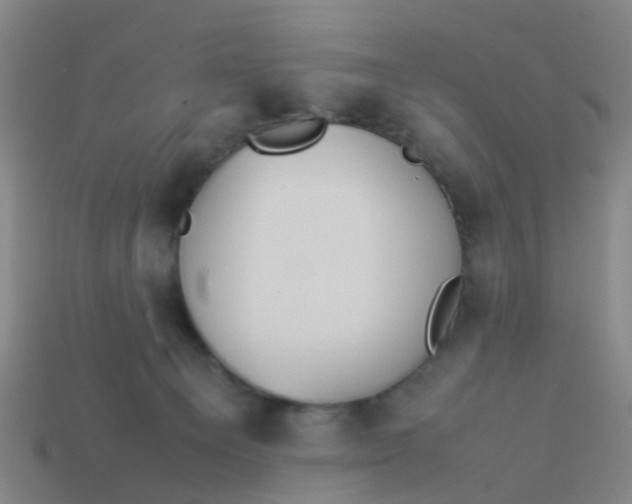 X0000114110129200910191710