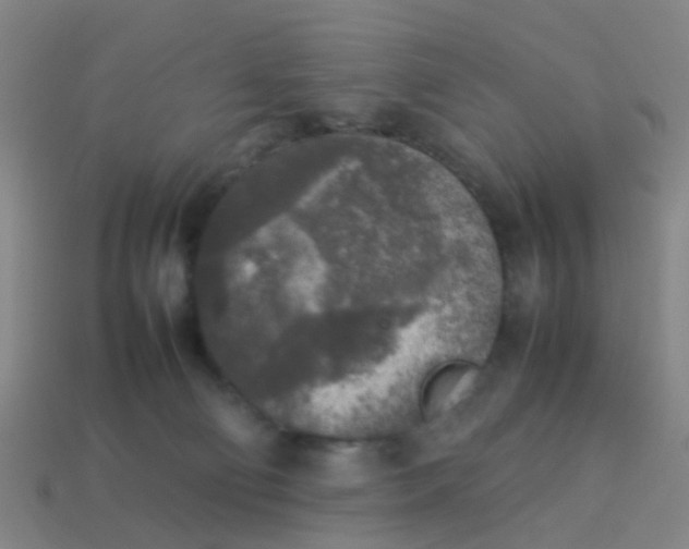 X0000114110130200910191710