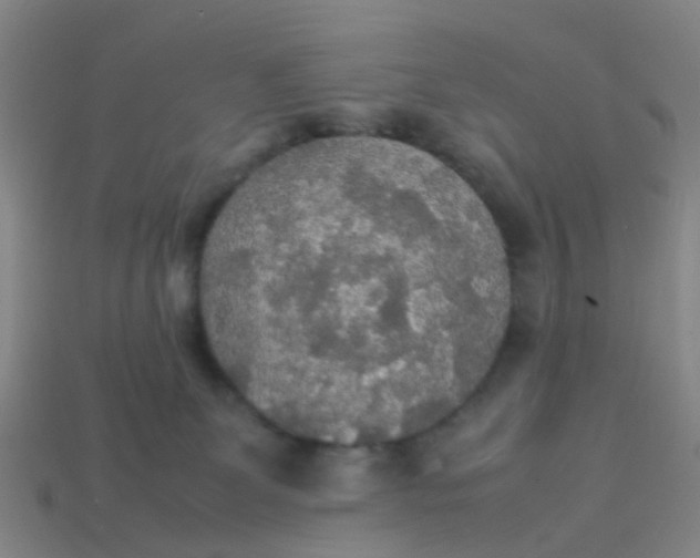 X0000114110131200910191710