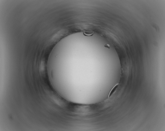 X0000114110132200910191710