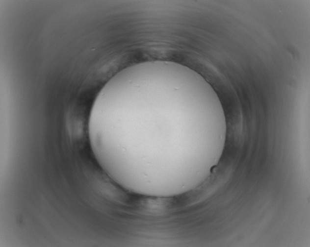 X0000114110134200910191710