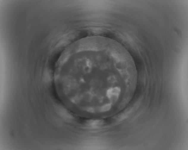 X0000114110135200910191710