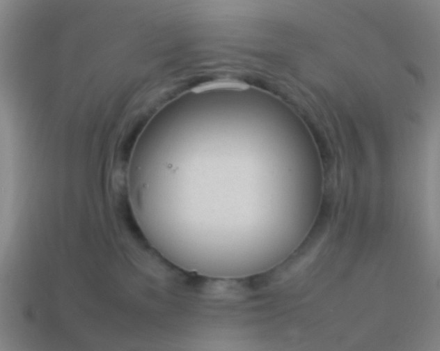 X0000114110137200910191710