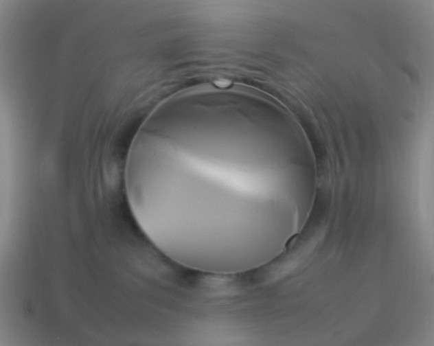 X0000114110139200910191710