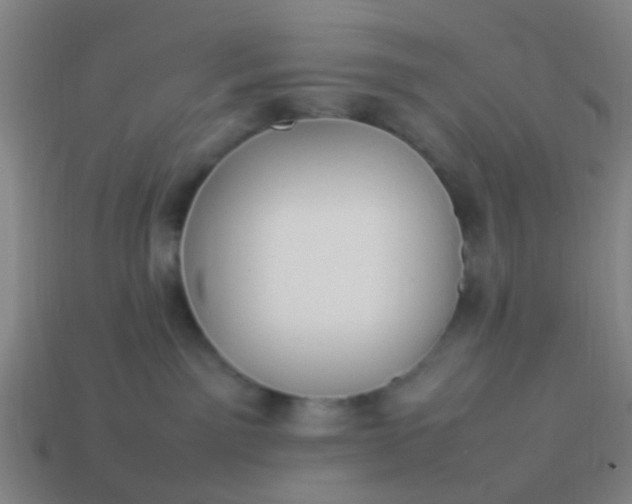 X0000114110141200910191710