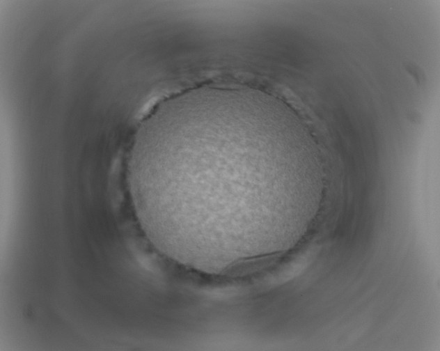 X0000114110144200910191710