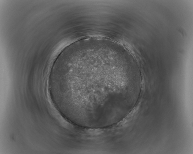 X0000114110145200910191709